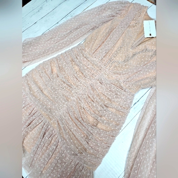 NEW Endless Rose Anthropologie Sheer Nude Pink Ruched Mini Dress Swiss Polka Dot - Picture 10 of 16